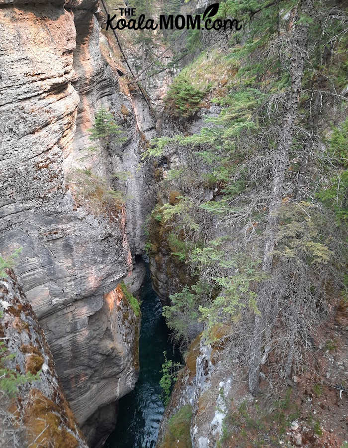 View from the Fourth Bridge at Maligne Canyon.