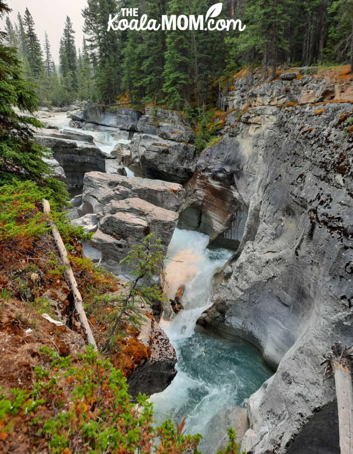 The canyon carved by the Maligne River.