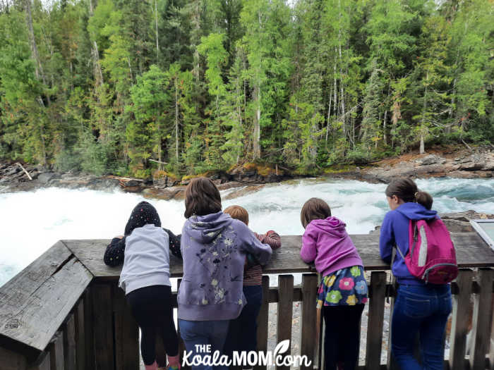 Five children viewing Bailey's Chute in Wells Gray Provincial Park.