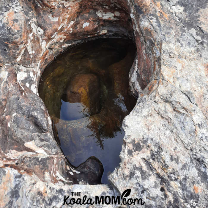 Hole in a rock, carved by water, near Bailey's Chute.