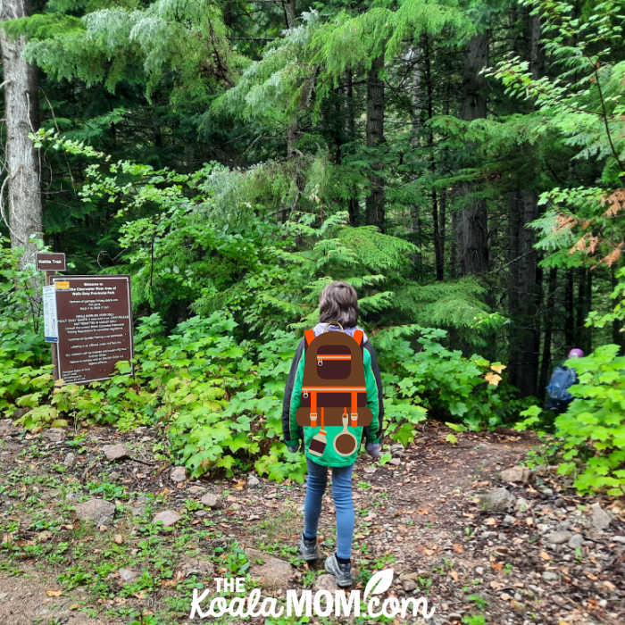 Kettle Trail on the Clearwater River Road in Wells Gray Provincial Park.