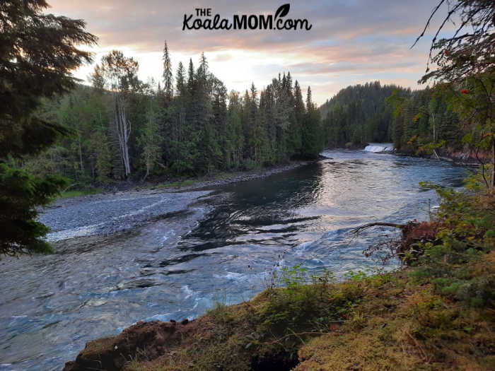Osprey Falls on the Clearwater River at sunset.