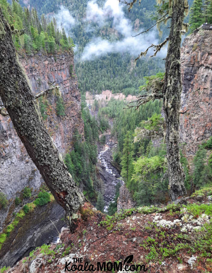 Spahats Falls Canyon, with views of the Clearwater River far below.