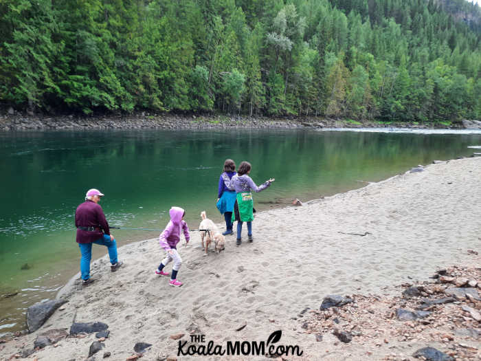 A sandy beach on the Clearwater River Road.