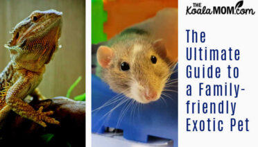 The Ultimate Guide to a Family-friendly Exotic Pet