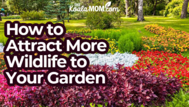 How to Attract More Wildlife to Your Garden