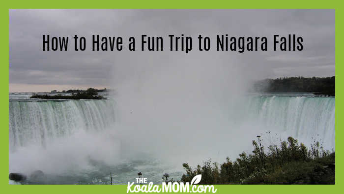 How To Have A Fun Trip To Niagara Falls. Photo of the falls during fall by Bonnie Way.