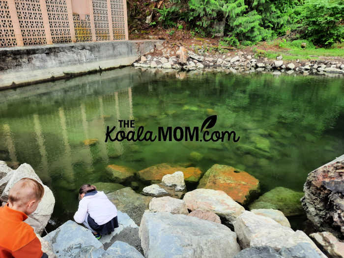 Checking out the pool by the Harrison Hot Springs.