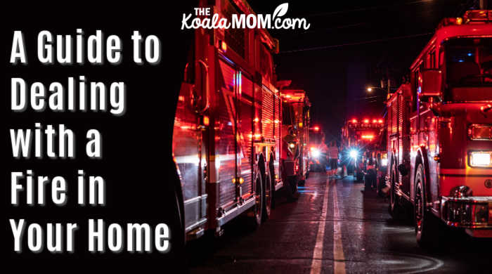 A Guide to Dealing with a Fire in Your Home. Photo of firetrucks by Connor Betts on Unsplash