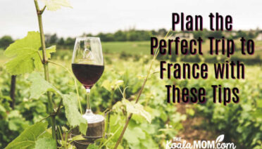 Plan the Perfect Trip to France with These Tips. Photo of a glass of wine in a grape orchard by Elle Hughes on Pexels.