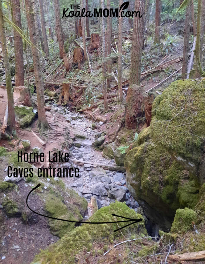 The entrance to Horne Lake Caves