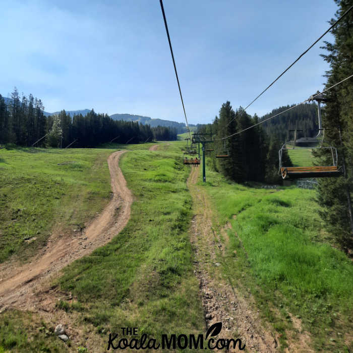 Riding the chairlift up the mountain in the summertime.