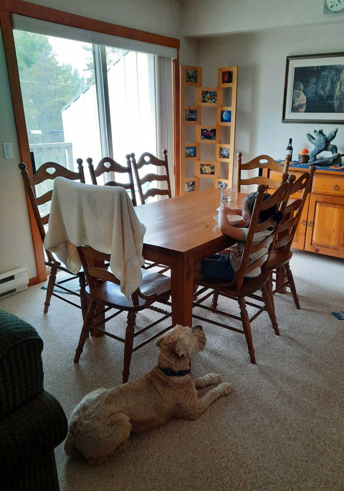 Dining room at the Pit, a vacation rental in Panorama, BC.