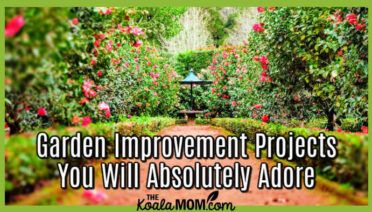 Garden Improvement Projects You Will Absolutely Adore. Photo of garden path by Ignacio Correia on Unsplash