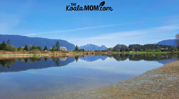 Alouette River in Maple Ridge
