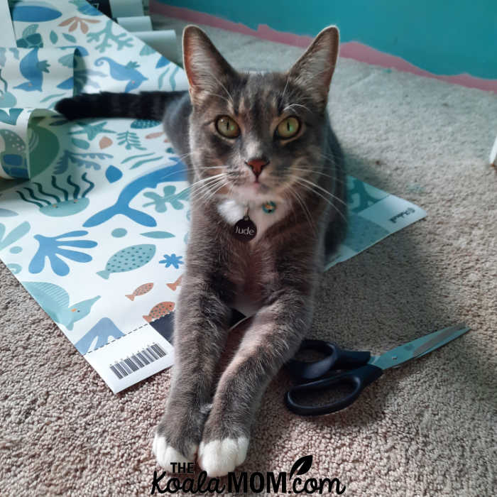 Cat laying on a section of wallpaper.