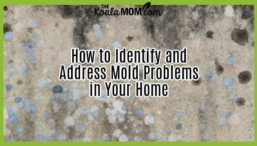 How to Identify and Address Mold Problems in Your Home. Photo of mold on wall by Andrew Small on Unsplash