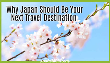 Why Japan Should Be Your Next Travel Destination. Image of cherry blossoms against a blue sky from Pixabay