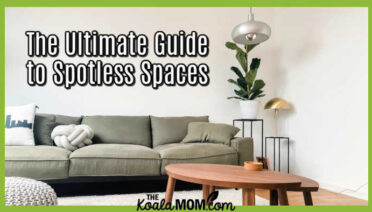 The Ultimate Guide to Spotless Spaces. Photo of grey couch with brown coffee table and a houseplant by Katja Rooke on Unsplash