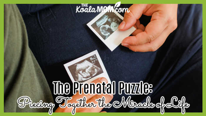 The Prenatal Puzzle: Piecing Together the Miracle of Life. Photo of woman holding two ultrasound photos near her pregnant belly by Amina Filkins via Pexels.