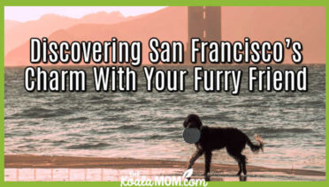 Discovering San Francisco’s Charm With Your Furry Friend. Photo of dog playing frisbee on a beach by the Golden Gate Bridge by Juan Domenech on Unsplash.