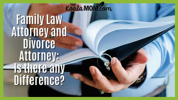 Family Law Attorney and Divorce Attorney—Is there any Difference? Photo of lawyer reading documents by Sora Shimazaki via Pexels.