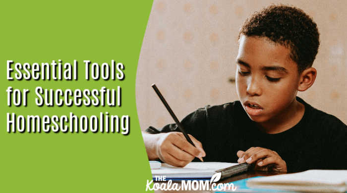 Essential Tools for Successful Homeschooling. Photo of a boy doing homework by Essential Tools for Successful Homeschooling via Pexels.