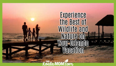 Experience the Best of Wildlife and Nature on Your Orlando Vacation. Photo of family walking on a pier at sunset by Pixabay.