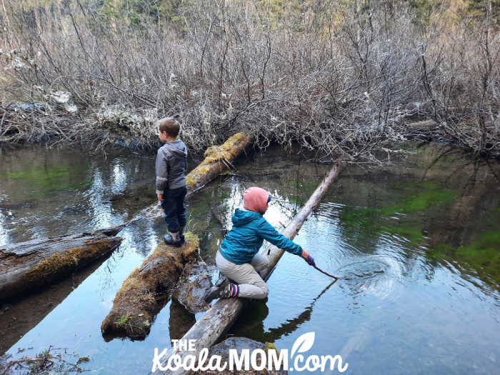 Two siblings stand on fallen logs over a still stream in Manning Park.