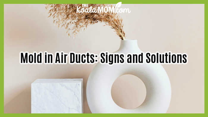 Mold in Air Ducts: Signs and Solutions. Photo of wispy grass in a white vase against a white wall by www.kaboompics.com via Pexels.