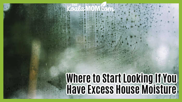 Where to Start Looking If You Have Excess House Moisture. Photo of moisture on a window by Cole Keister via Pexels.