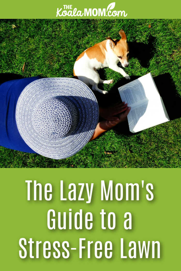 The Lazy Mom's Guide to a Stress-Free Lawn. Photo of woman wearing a hat reading a book with her dog beside her by Pixabay.