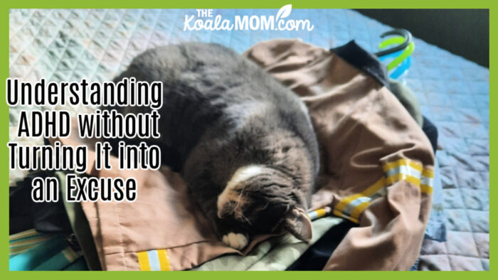 Understanding ADHD without Turning It into an Excuse. Photo of cat sleeping on costumes by Bonnie Way.