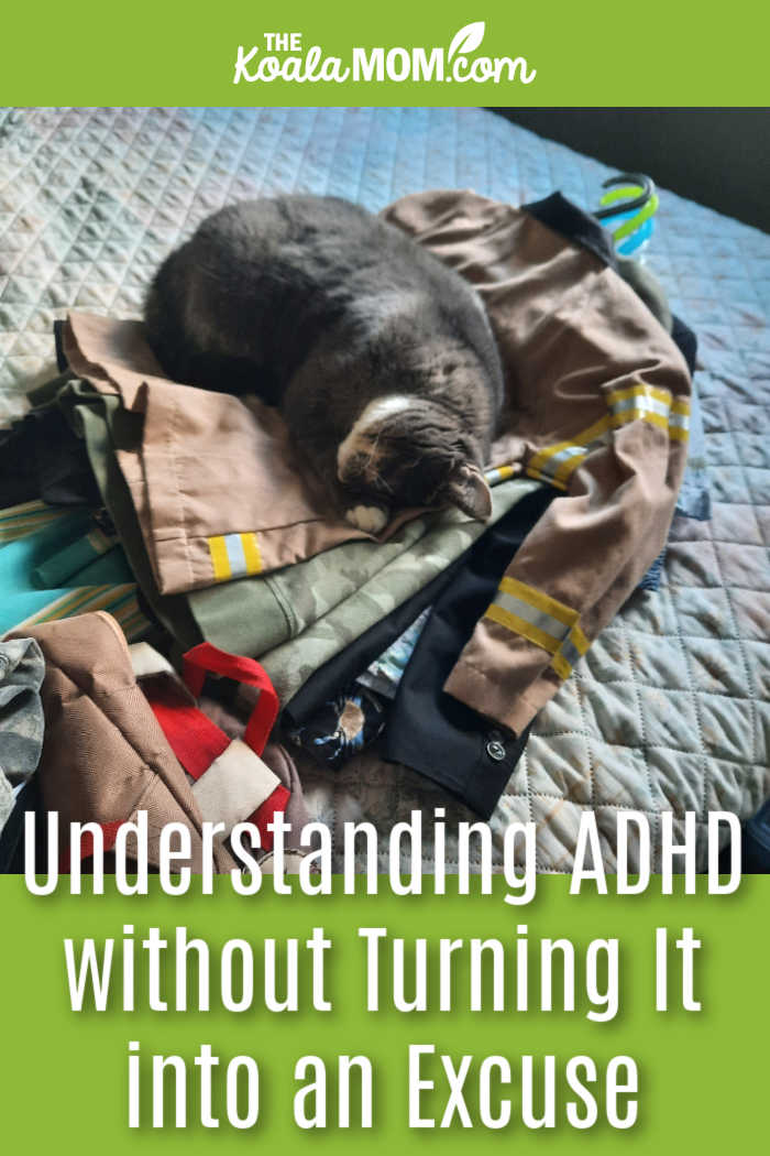 Understanding ADHD without Turning It into an Excuse. Photo of cat sleeping on costumes by Bonnie Way.