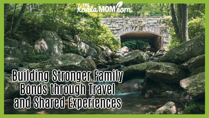 Building Stronger Family Bonds through Travel and Shared Experiences. Photo of a stone bridge over a stream in Gatlinburg by Attie Heunis via Pexels.