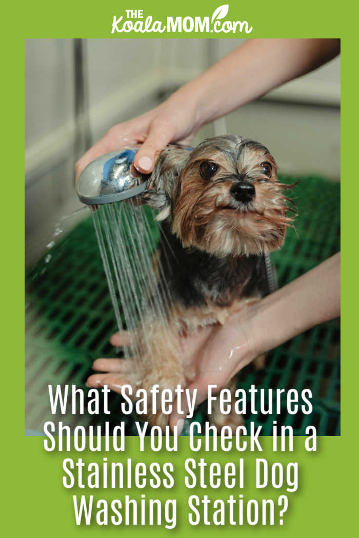 What Safety Features Should You Check in a Stainless Steel Dog Washing Station? Photo of small dog being washing in a shower by Tima Miroshnichenko via Pexels.