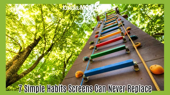 7 Simple Habits Screens Can Never Replace. Stock photo of colorful ladder stretching up into treetop canopy.