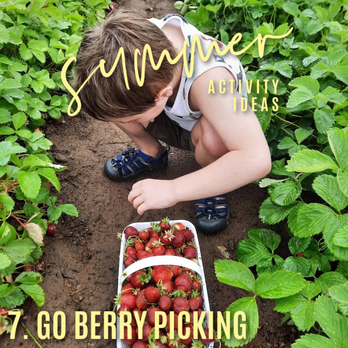 Summer activity ideas. 7. Go berry picking. Photo of a boy sitting between strawberry plants, putting a strawberry in a full basket, by Bonnie Way.