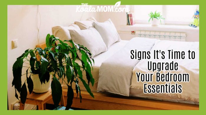 Signs It's Time to Upgrade Your Bedroom Essentials. Photo of a white bedroom with a Christmas cactus on the bedside table by Ksenia Chernaya via Pexels.