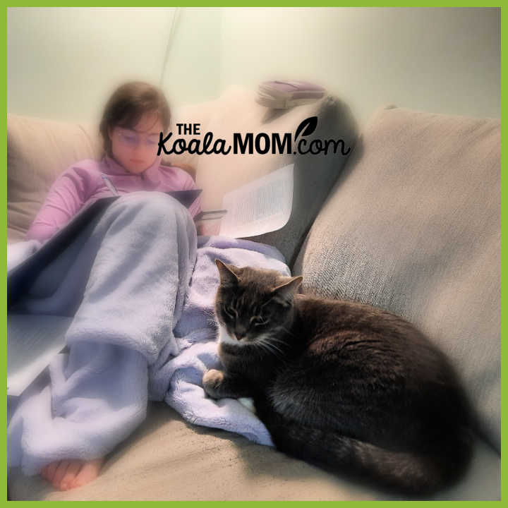 Photo of grey cat sitting on a couch with a teen who is reading by Bonnie Way.
