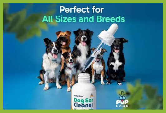 Dog Ear Cleaner is perfect for all sizes and breeds. Photo of product in front of group of dogs on a blue background.