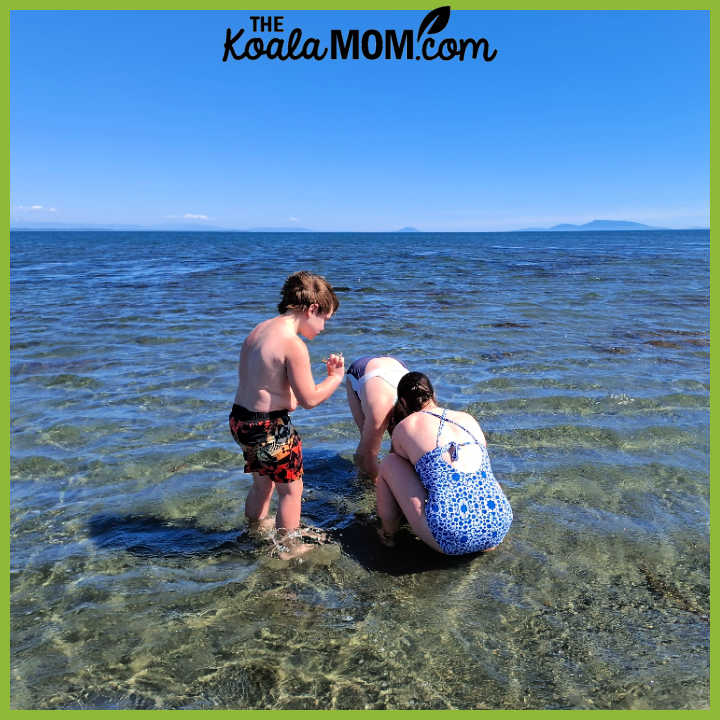 Photo of three kids playing in the water at a beach by Bonnie Way.