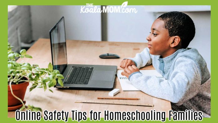 Online Safety Tips for Homeschooling Families. Photo of black boy smiling at his laptop computer screen by Katerina Holmes via Pexels.