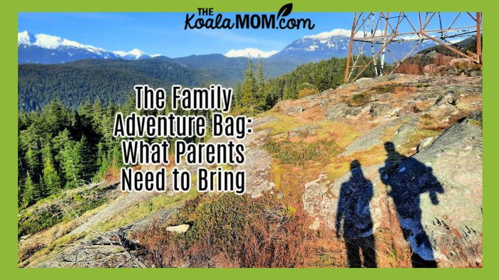 The Family Adventure Bag: What Parents Need to Bring. Photo of the shadows of two hikers on a mossy rock, with mountains in the distance, by Bonnie Way.