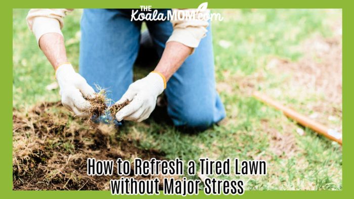 How to Refresh a Tired Lawn without Major Stress. Photo of woman with gloves and blue jeans kneeling beside a spotty patch of lawn by Greta Hoffman via Pexels.