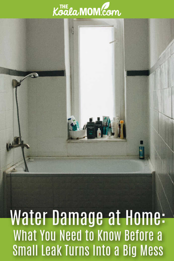 Water Damage at Home: What You Need to Know Before a Small Leak Turns Into a Big Mess. Photo of older tub in front of a window, with shampoos sitting on the window still, by Anastasiia Lopushynska  via Pexels.
